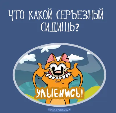 Смешные картинки улыбнись - скачай в формате JPG, PNG, WebP