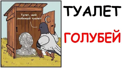 Смешные картинки в туалет: скачай в JPG, PNG, WebP