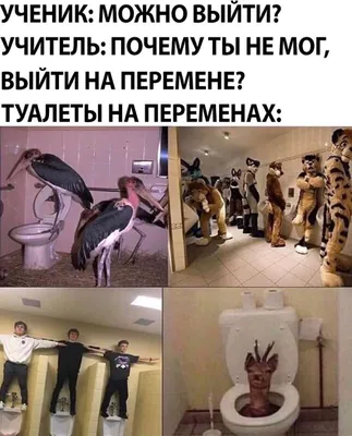 Загадочные и смешные фотографии в туалете