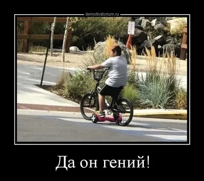 Загляните в мир смеха с фото велосипедов.