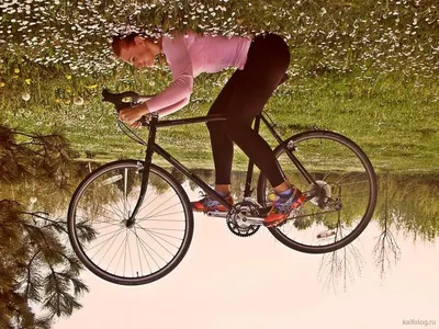 Смешные картинки велосипедистов: скачать в JPG, PNG, WebP