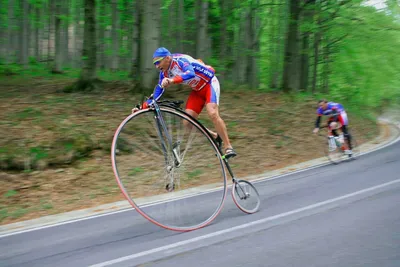 Юмор и велосипед: смешные фотографии