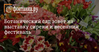 Смешные картинки на тему весны: улыбайся вместе с нами!