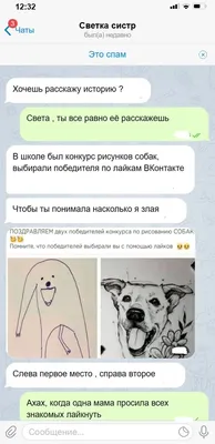 Улыбнитесь смешным снимкам вк про школу