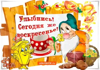 Веселые фото для воскресной улыбки