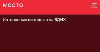 Смешные моменты, которые заставят вас улыбнуться в выходные