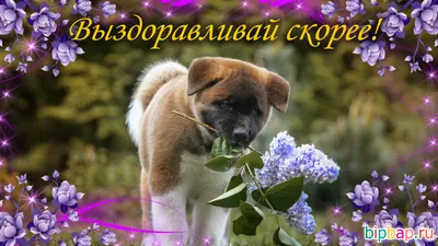 PNG картинки для веселья