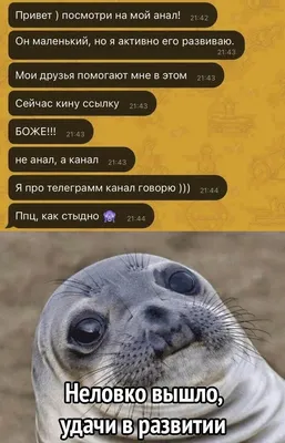 Фото смешные картинки здрасте - выберите формат для скачивания JPG, PNG, WebP