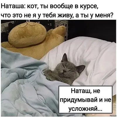 Смешные снимки, которые вызовут у вас улыбку