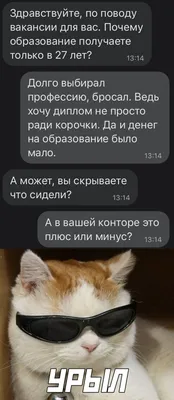 Насмешки и смех: фото, которые поднимут вам настроение