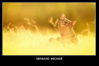 Фотки весны в HD качестве