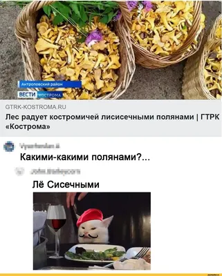 Лучшие смешные картинки женщины на кухне