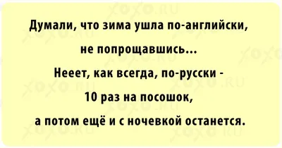 Забавные картинки о зиме, которые поднимут настроение