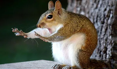 Арт-фото, чтобы вызвать улыбку