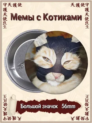 Фото смешных котят, чтобы улыбнуться!