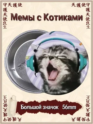 Смешные коты в формате PNG