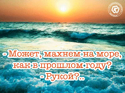 Испуганные моржи: Забавные снимки людей на море