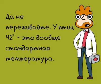 Смешные картинки: Фото для поднятия настроения