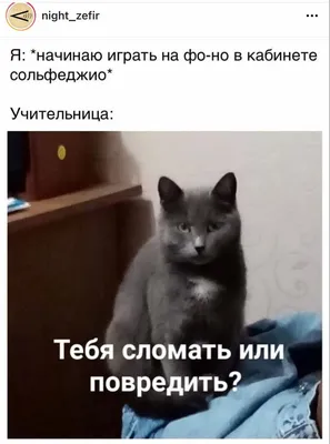 Новые смешные музыкальные картинки для вашего веселья