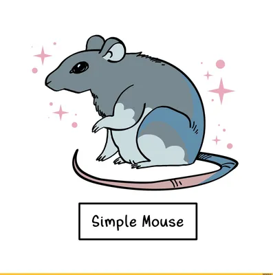 Невероятные приключения смешных мышат: фотоотчет