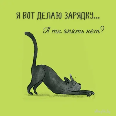 Хохотать до слез: Смешные надписи под изображениями всех размеров