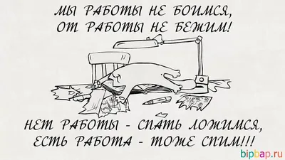 Хохотать без остановки: Смешные надписи под изображениями всех типов