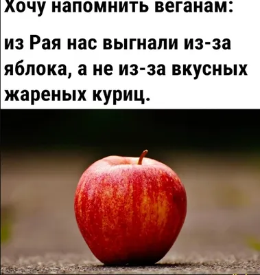 Хохотать до изнеможения: Смешные надписи под изображениями всех размеров