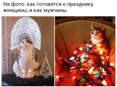 Смешные новогодние картинки фотографии