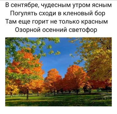 Осенние приколы: фото, которые вызовут смех