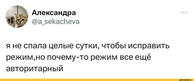 Смешные политические картинки для скачивания