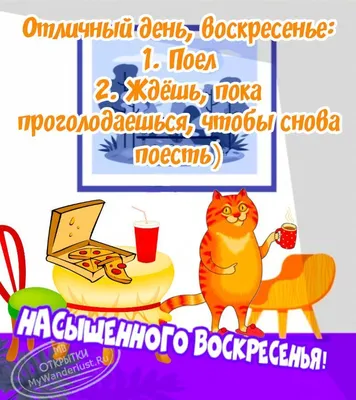 Новые смешные пожелания с добрым утром в картинках. Скачать бесплатно в HD, Full HD, 4K