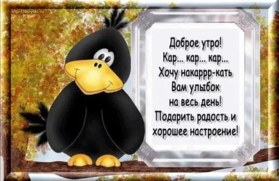 Утренние смешные пожелания с добрым утром в картинках. Новые изображения для скачивания