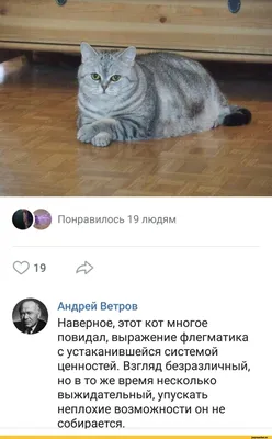 Фото, которые поднимут настроение на весь день