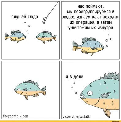 Смешные рыбы картинки: новое изображение для вашего смеха