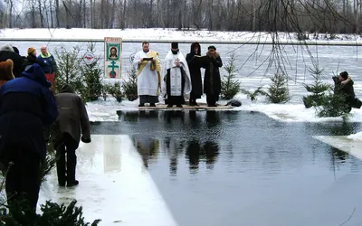 Фотки смешных крещенских купающихся - выберите формат и скачайте