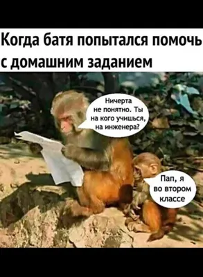 Скачать смешные школьные картинки в формате JPG