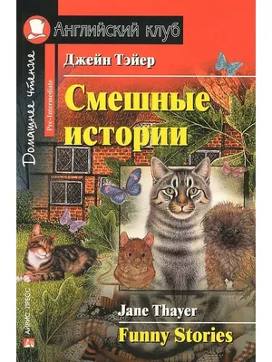 Изображения смешных ситуаций: JPG, PNG, WebP опции