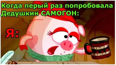 Смешные смешарики на фотографии в форматах JPG, PNG, WebP на картинке