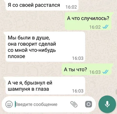 Смешные фотографии для раздражения