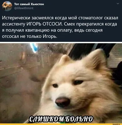 Улыбнитесь смешным стоматологическим фото!