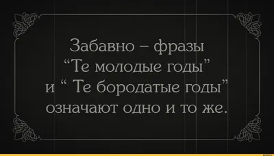 Смешные цитаты и афоризмы в картинках: скачать бесплатно в HD