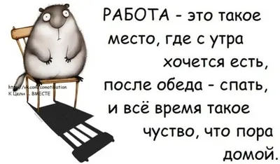 Смешные цитаты про работу: скачать бесплатно в хорошем качестве