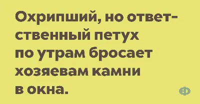 Смешные фото с умными шутками: интересные картинки для хорошего настроения