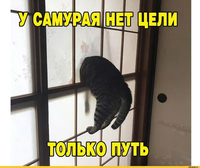 Забавные снимки, которые заставят вас улыбнуться