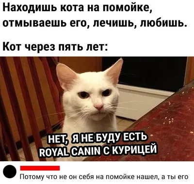 Картинки смешных людей, которые вызовут смех