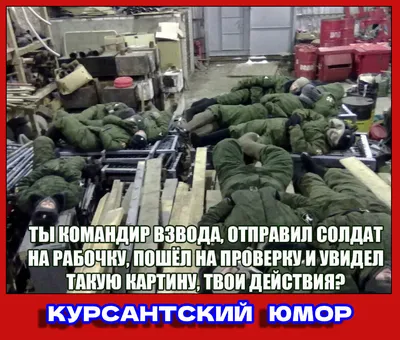 Военные фотки с юмором: выбирайте свой размер