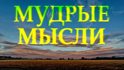 Картинки смешных высказываний о жизни: выберите размер и формат для скачивания