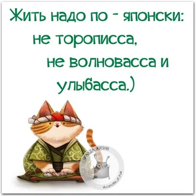 Изображения смешных высказываний о жизни: бесплатно скачать в хорошем качестве