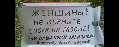 Удивительные смешные вывески и объявления на фото