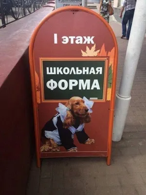 Смешные вывески: фото для скачивания в JPG